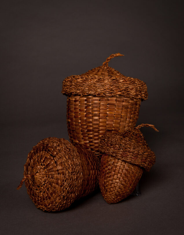 Cedar Acorns